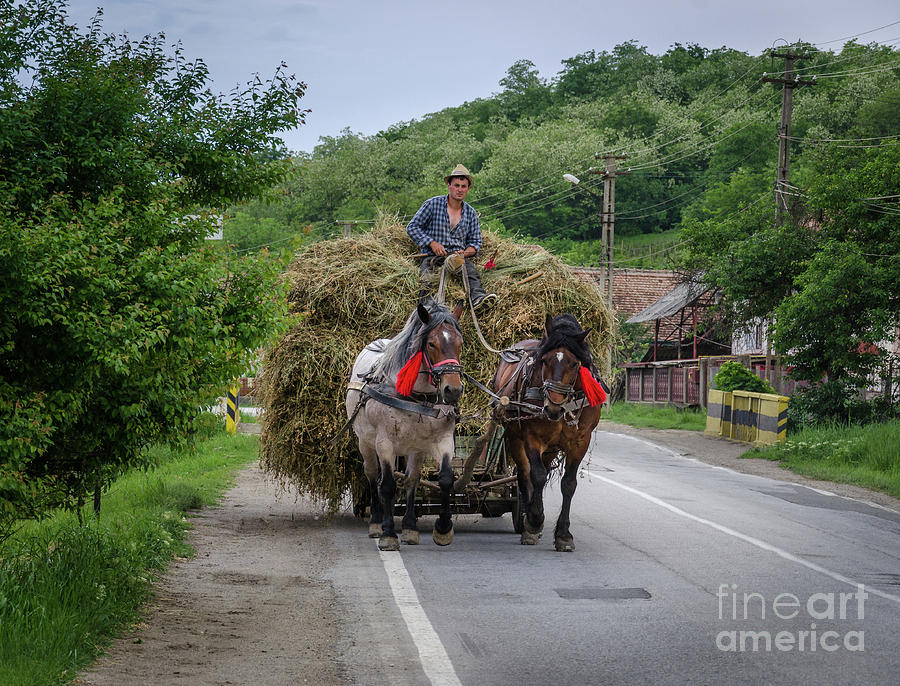 The Hay Cart, Romania Photograph by Perry Rodriguez