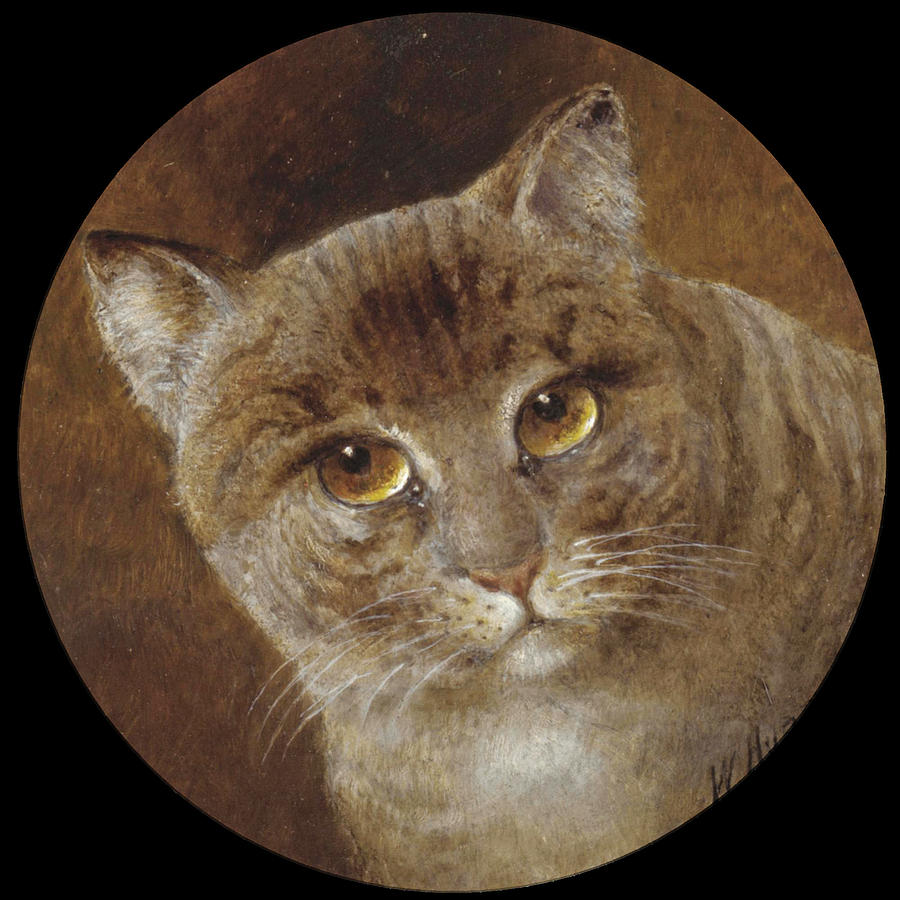 The Head of a Cat Painting by William Huggins | Fine Art America