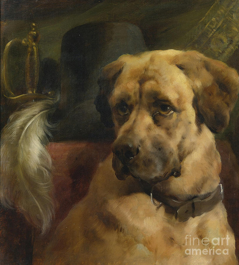 The Head Of A Mastiff Painting by MotionAge Designs