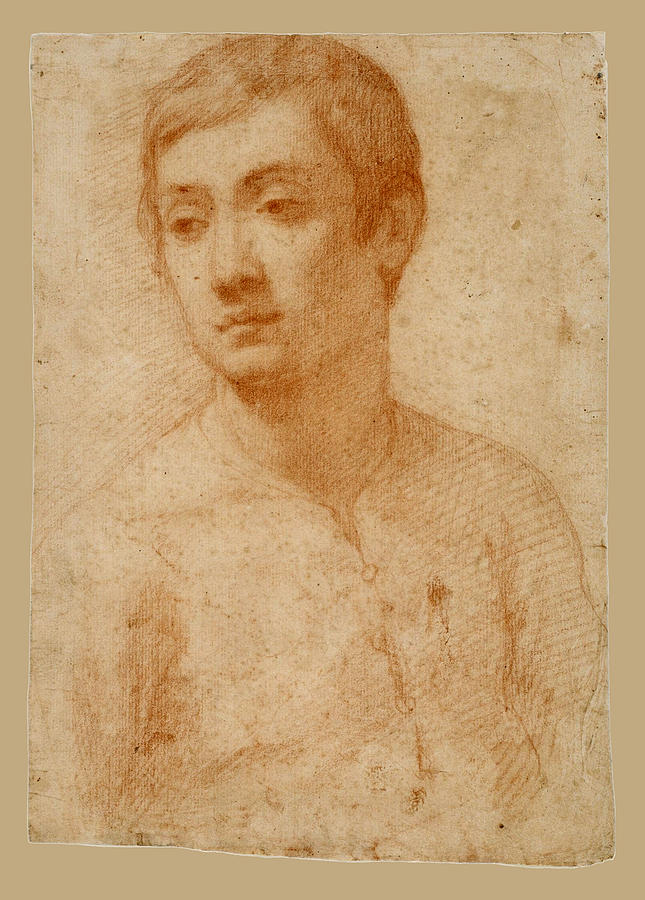 The Head of a Youth Drawing by Passignano