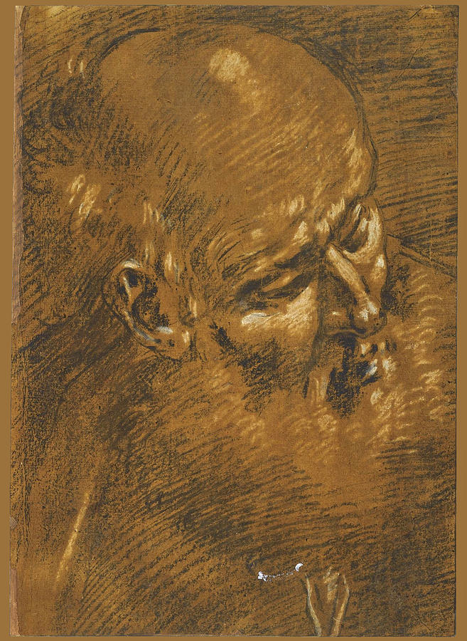 The Head of an old Man probably Saint Joseph  Drawing by Giacomo Cavedone