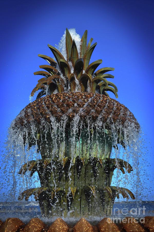 The Head Of The Pineapple Photograph by Skip Willits