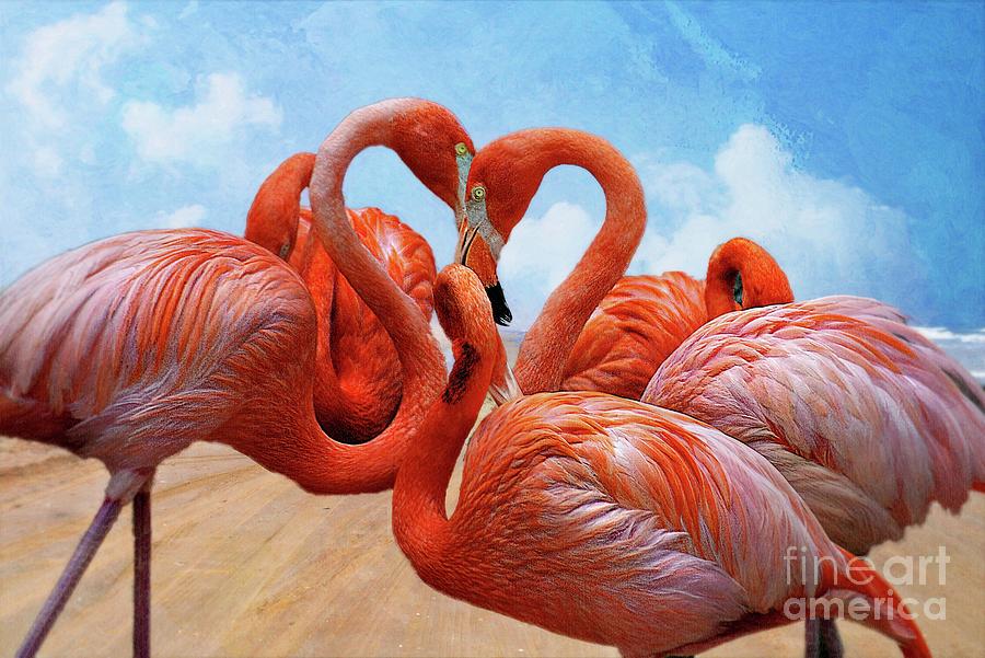 Bird Photograph - The Heart Of The Flamingos by John Kolenberg