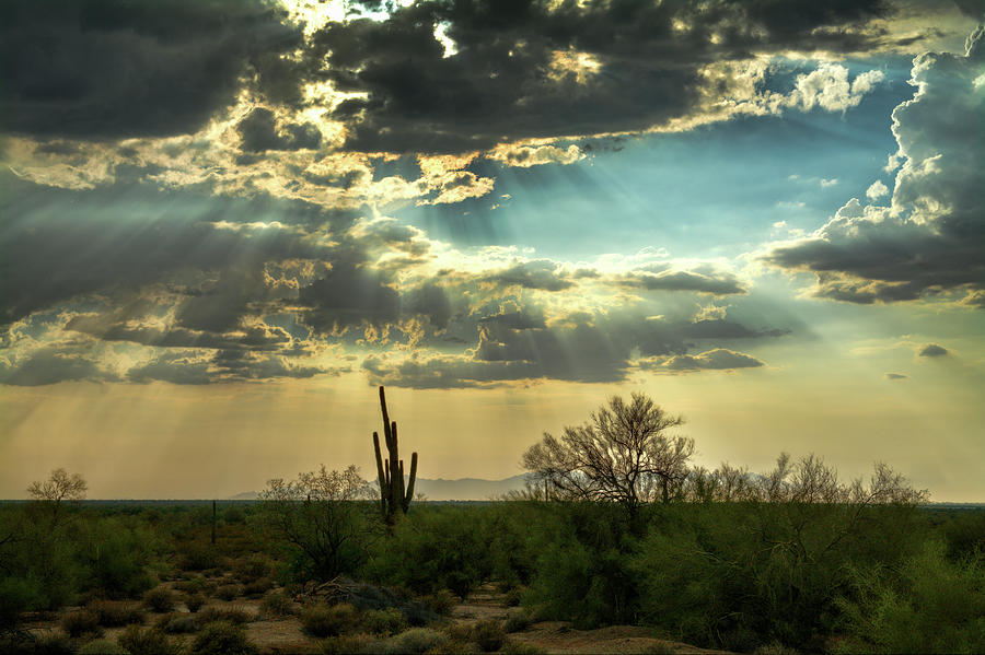 The Heavenly Desert Skies  Photograph by Saija Lehtonen