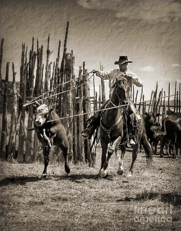 Horse Photograph - The Heeler by Megan Kilgore