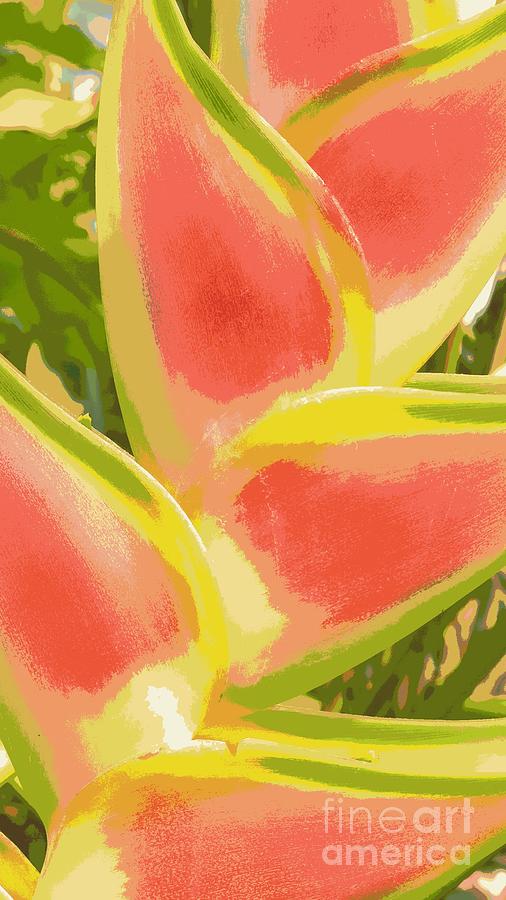 The Heliconia Flower  Photograph by Jennifer E Doll