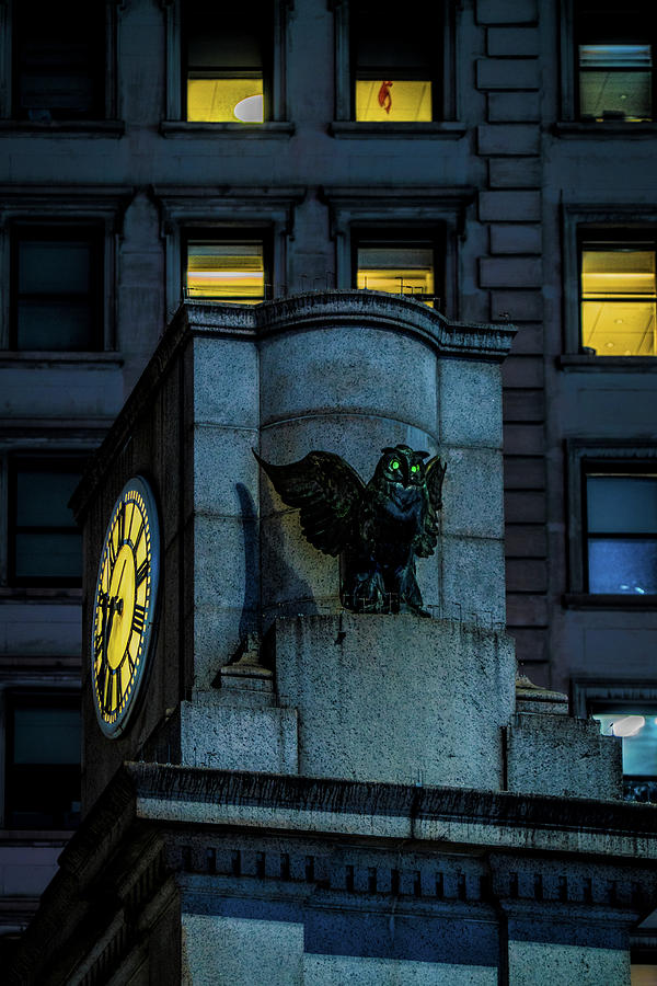 The Herald Square Owl Photograph by Chris Lord