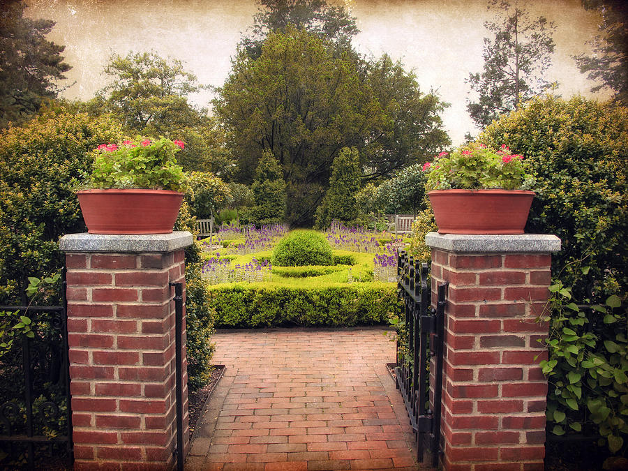 Spring Photograph - The Herb Garden by Jessica Jenney