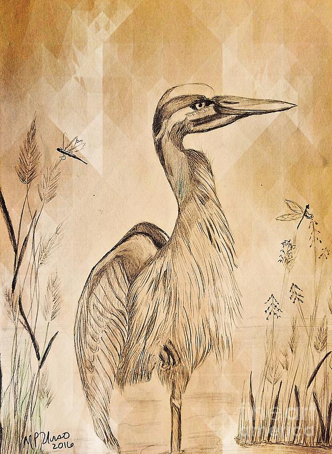 The Heron Drawing by Maria Urso