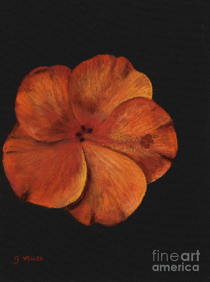 The Hibiscus Painting by Ginny Neece
