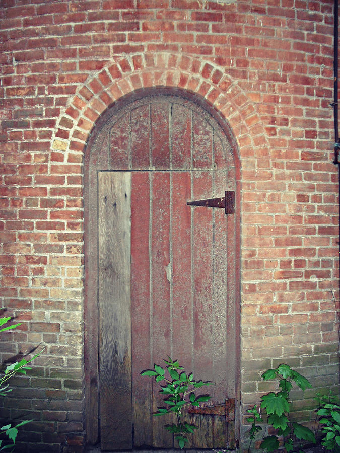 The Hidden Door Photograph by Cyryn Fyrcyd