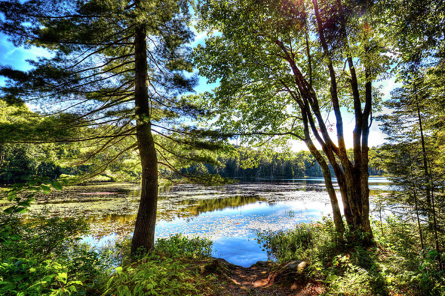 The Hidden Gem of Cary Lake Photograph by David Patterson