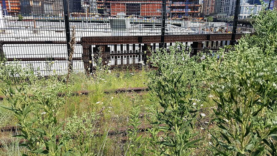 The High Line 199 Photograph by Rob Hans