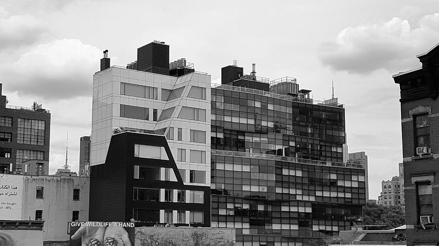 The High Line 76 Photograph by Rob Hans