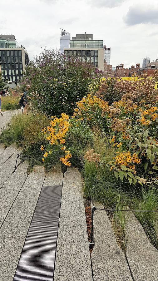 The High Line 85 Photograph by Rob Hans