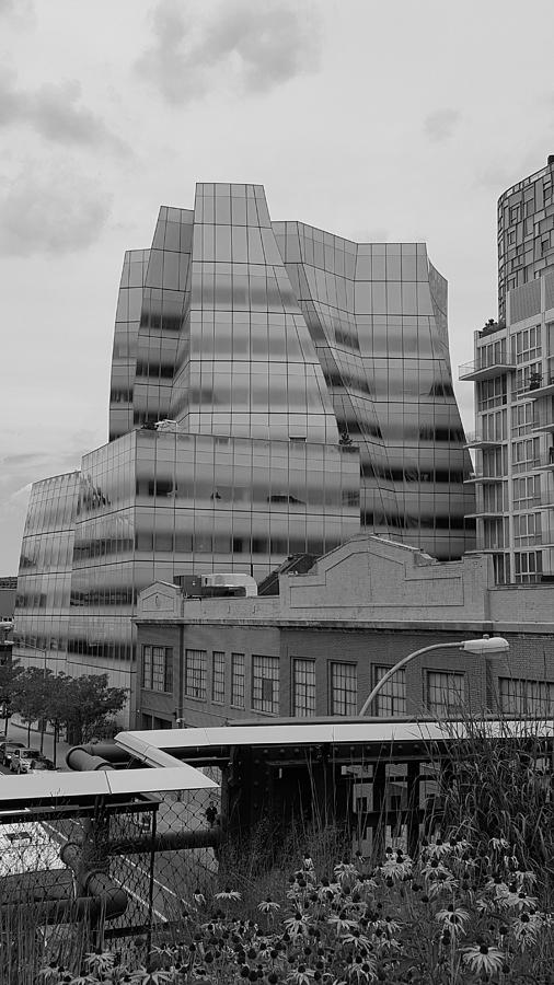The High Line 87 Photograph by Rob Hans