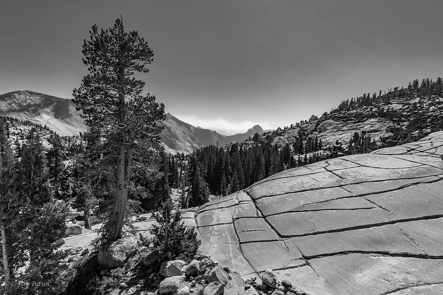 The High Sierras Photograph by Jody Partin
