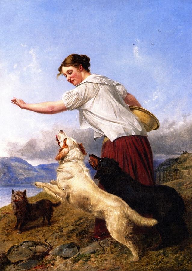 Dog Painting - The Highland Lassie by MotionAge Designs