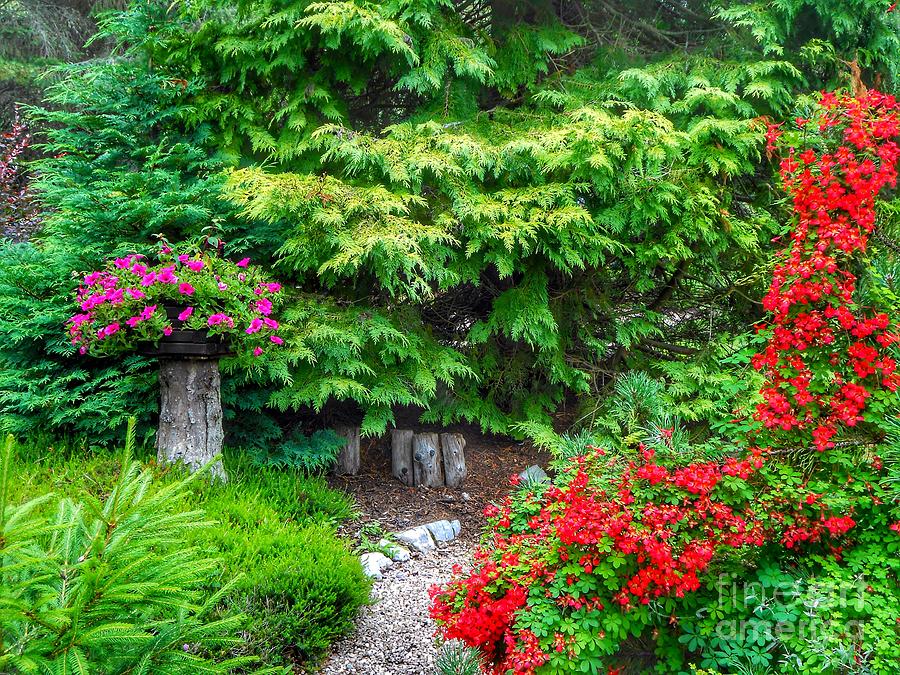 The Highlands Cottage Garden Photograph by Joan-Violet Stretch