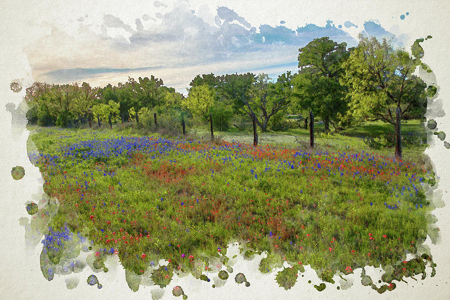 The Hill Countrys Prettiest Wildflowers in Watercolor Photograph by Lynn Bauer