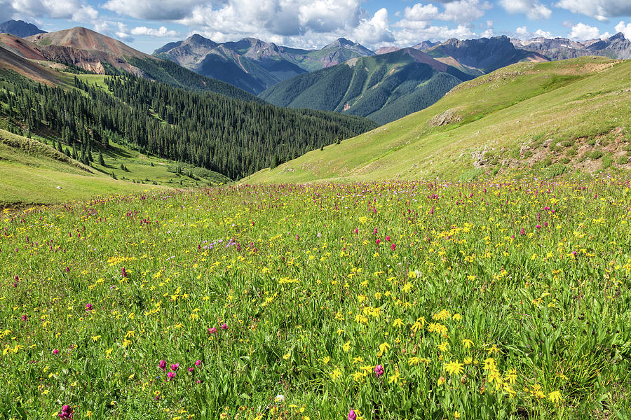 The Hills Are Alive Photograph by Denise Bush