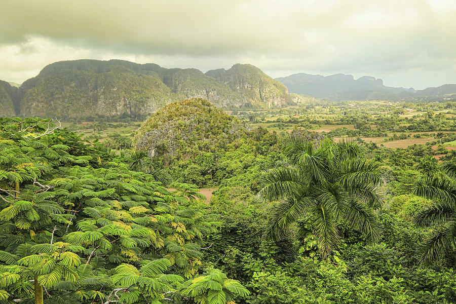 The Hills of Vinales Photograph by Mary Buck