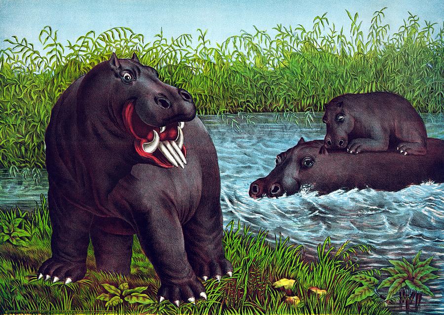 The hippopotamus, 1874 Painting by Vincent Monozlay