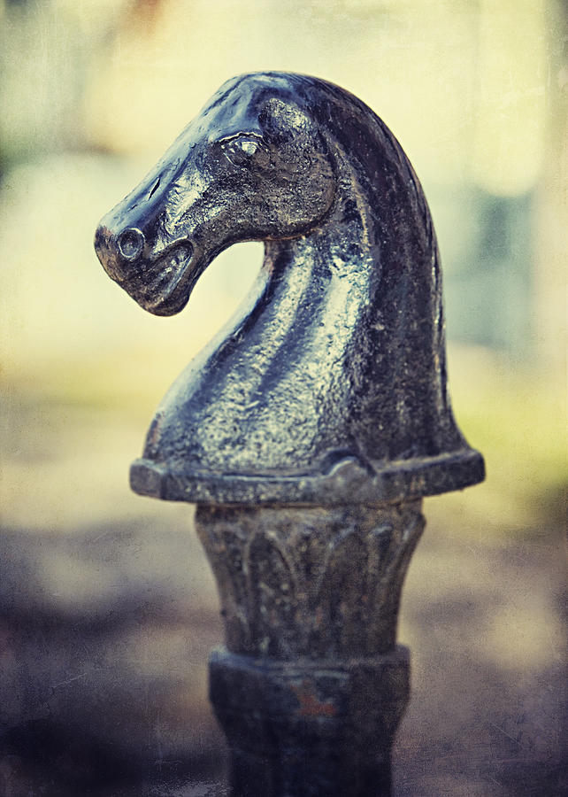 Vintage Photograph - The Hitching Post by Lisa R
