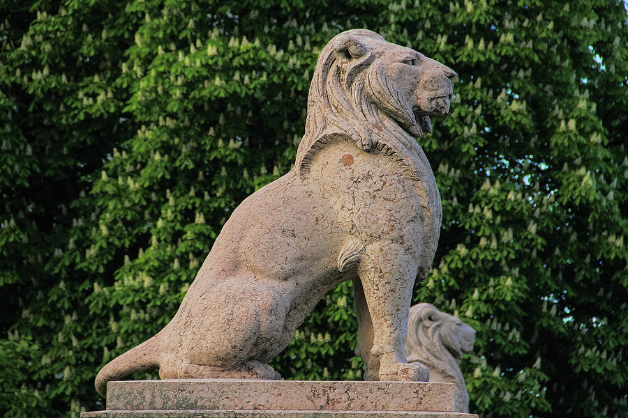 The honor lion monument Photograph by Andrey Ganysh - Fine Art America