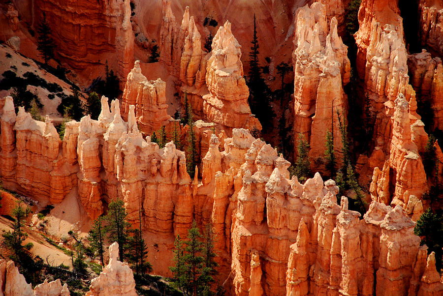 The Hoodoos in Bryce Canyon Photograph by Susanne Van Hulst