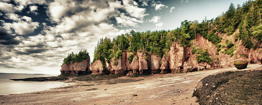 The Hopewell Rocks Photograph by Levin Rodriguez