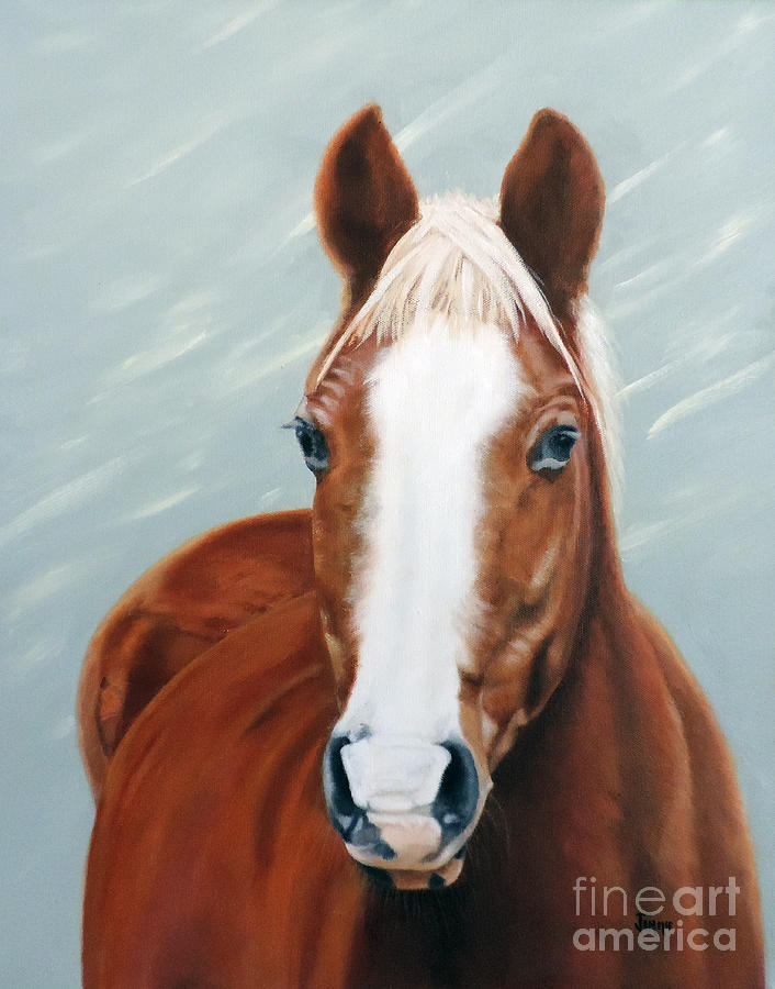 Horse Painting - The Horse Cody by Jimmie Bartlett