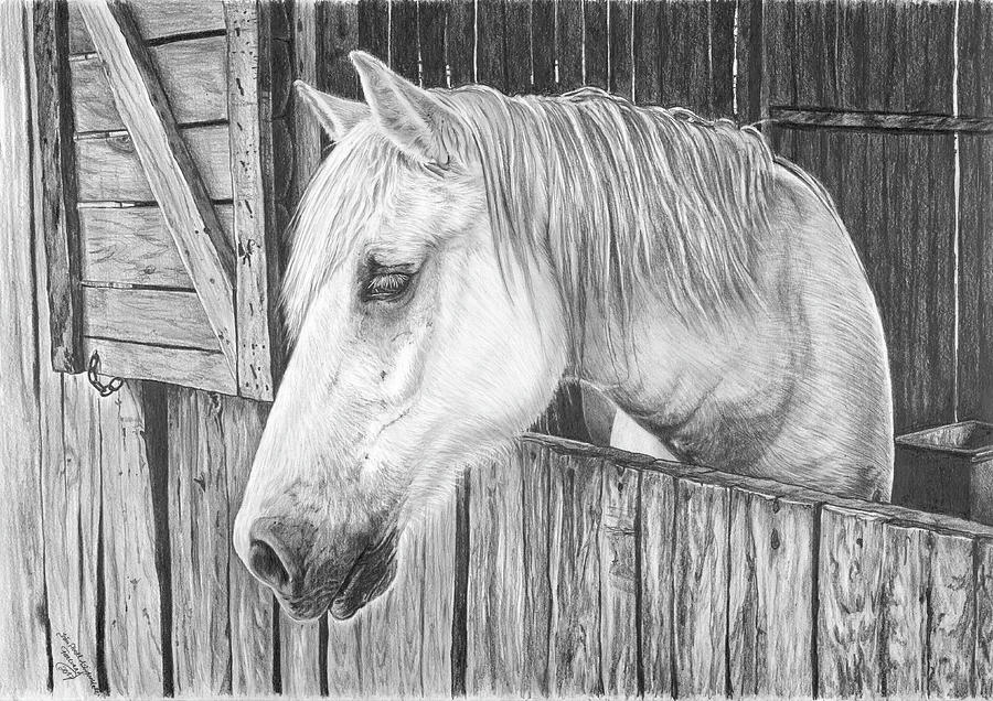  How To Draw A Stable in the year 2023 Check it out now 
