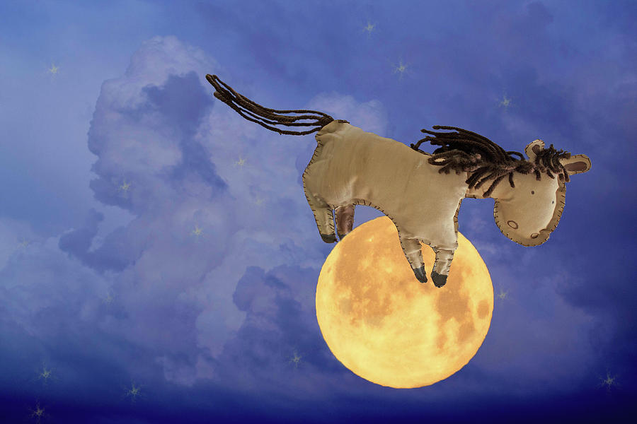 The Horse Jumped Over the Moon Photograph by Susan Newcomb