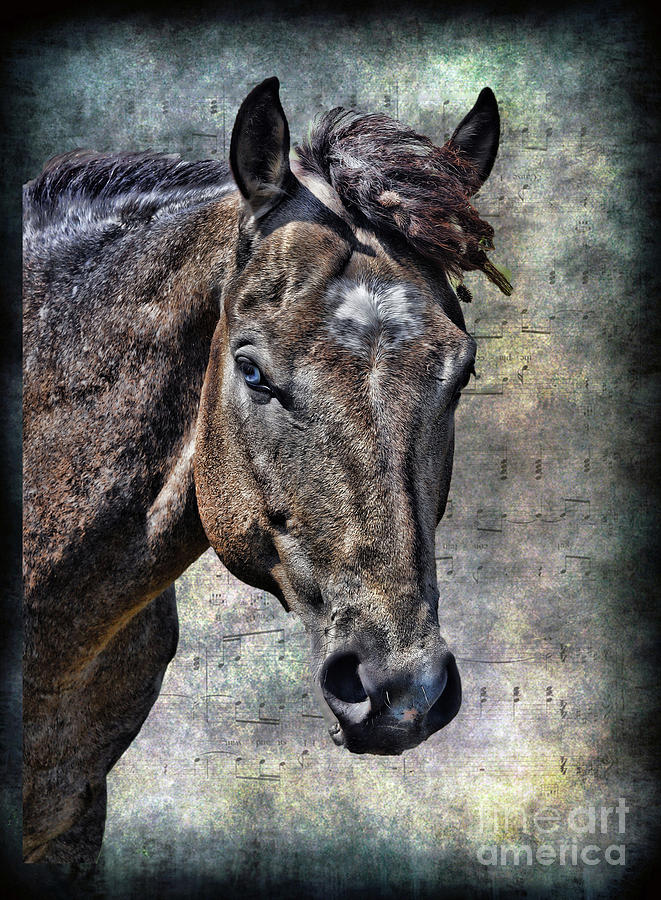 The Horse  Digital Art by Savannah Gibbs