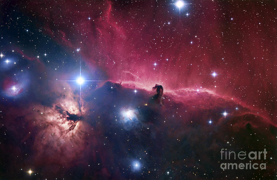 Space Photograph - The Horsehead Nebula by Robert Gendler