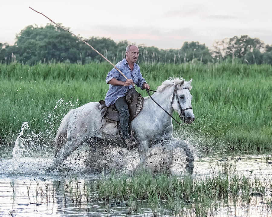 the Horseman Photograph by Wade Aiken