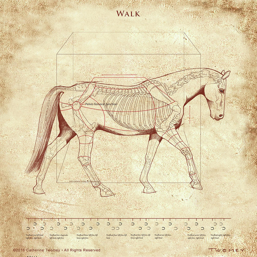Horse Painting - The Horses Walk Revealed by Catherine Twomey