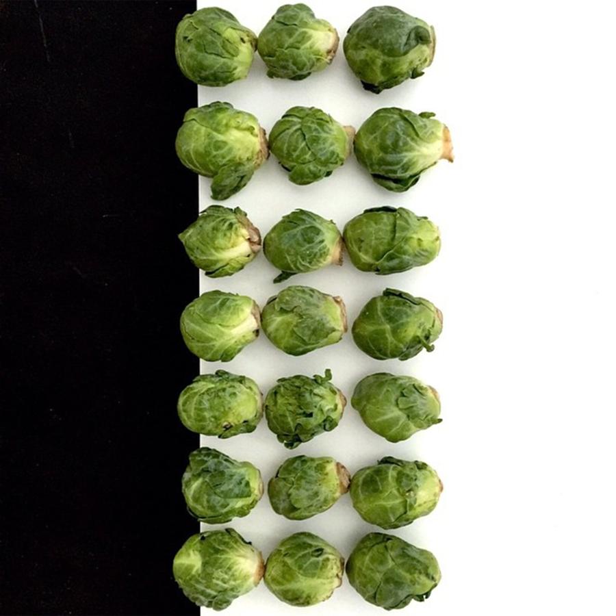 The Humble Brussels Sprout Photograph by Erika L