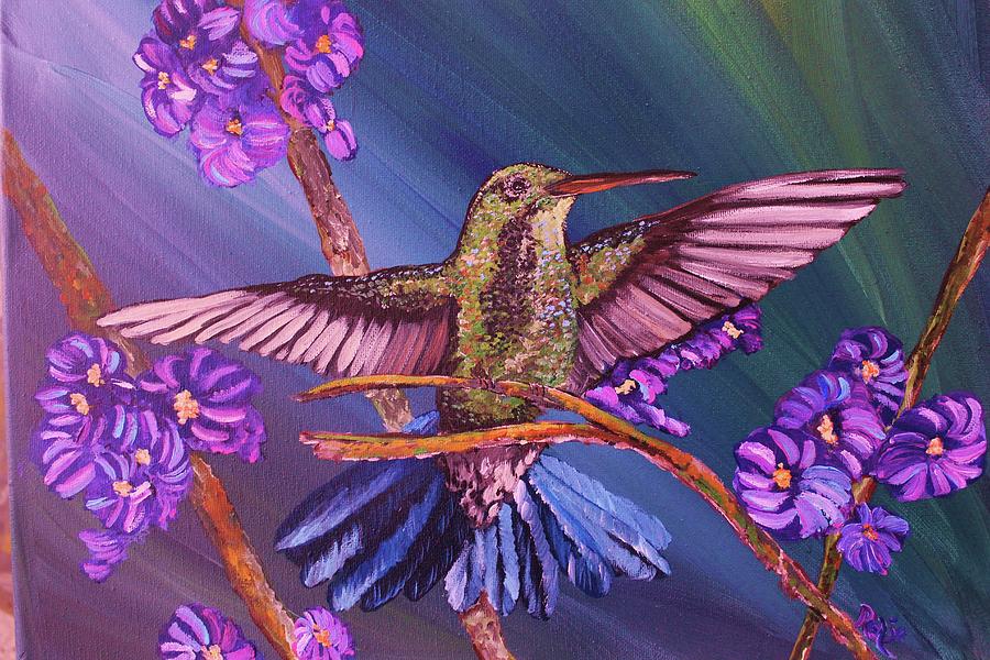 The Hummingbird Photograph by Roxanne Basford - Fine Art America