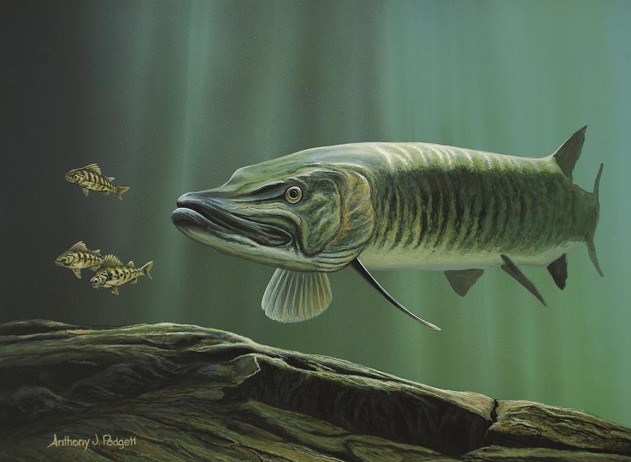 The Hunter - Musky Painting by Anthony J Padgett