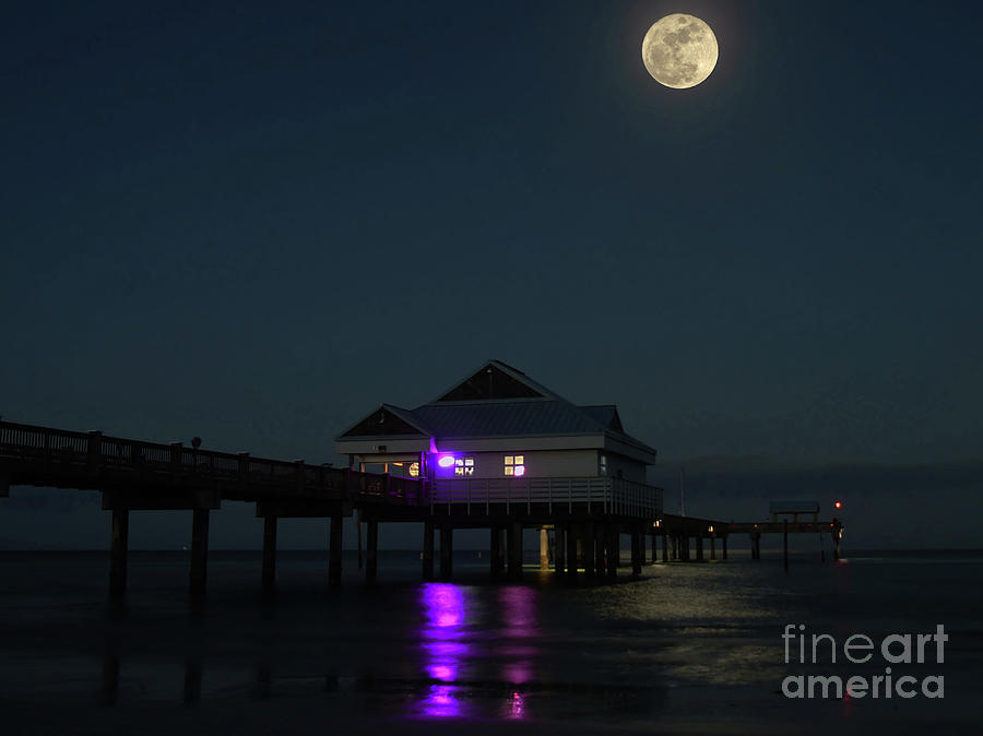 The Hunters Moon At Pier 60 Photograph by D Hackett