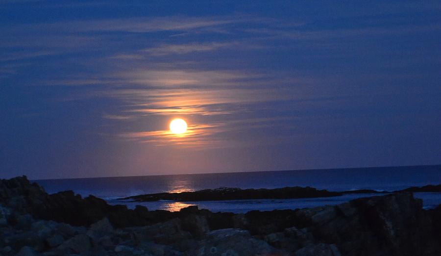 Fall Hunter's Moon by Nina-Rosa Duddy Fall Hunter's Moon by Nina-Rosa Duddy