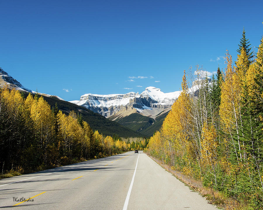 The Icefields Parkway Photograph by Tim Kathka
