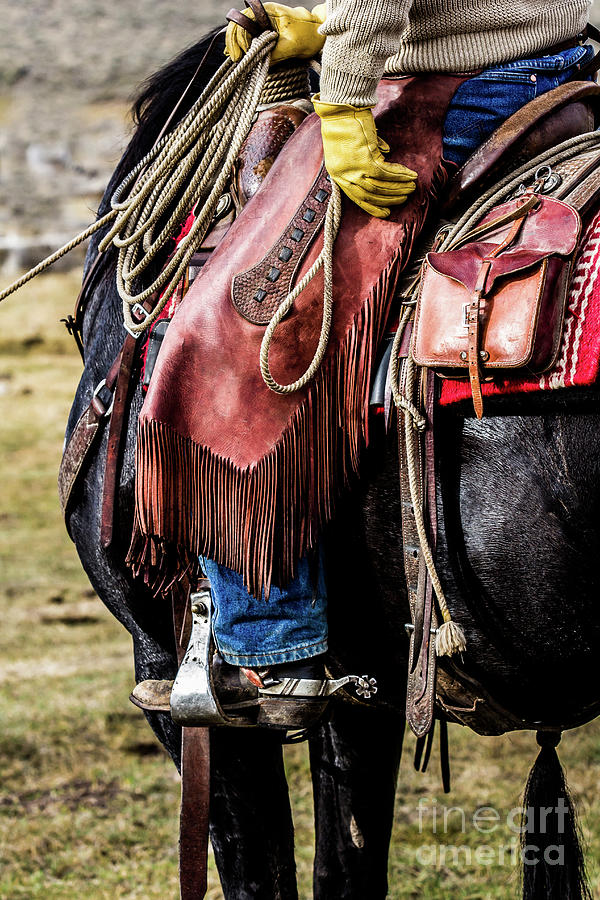 The Idaho Cowboy Western Art by Kaylyn Franks Photograph by Kaylyn Franks