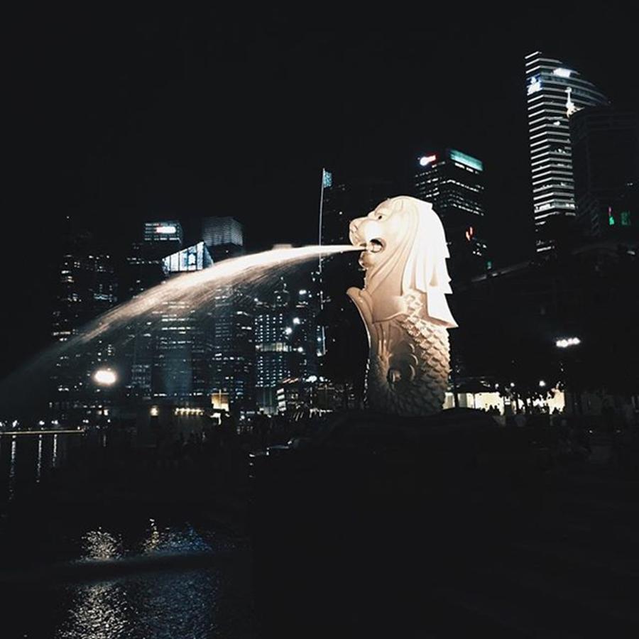 The Identity Of Singapore, The Statue Photograph by Rifdi Adib