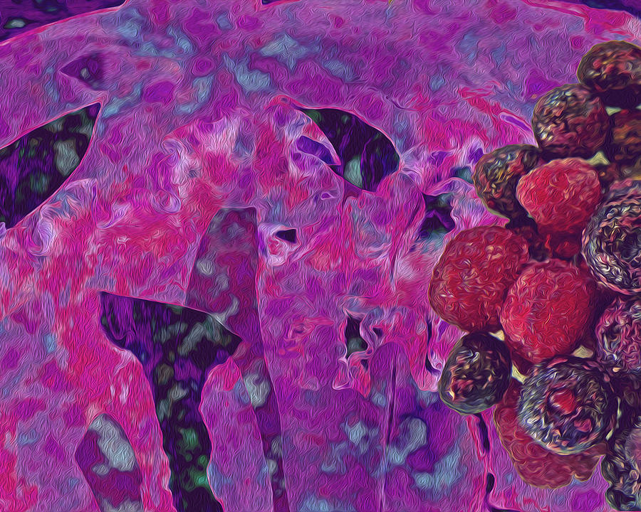 Raspberry Photograph - The Ides of Berries by Lynda Lehmann