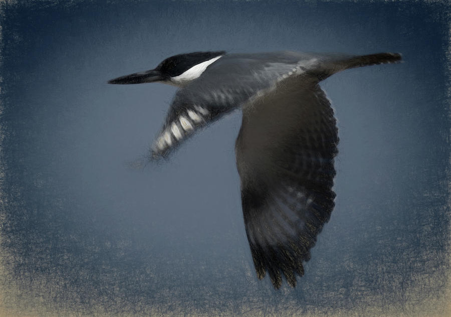 The Illusive Kingfisher Digital Art by Ernest Echols