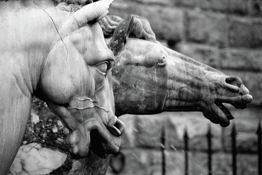 Horse Photograph - Horses on the The Fountain of Neptune by Stephanie Gaveau