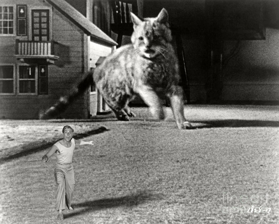 The Incredible Shrinking Man 1957 Photograph by Sad Hill - Bizarre Los Angeles Archive
